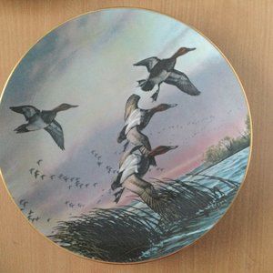 1981 "canvasbacks" David Maass limited edition collector plate 10 3/4" wild life